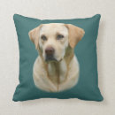 Suche nach zuverlässig kissen Für alle