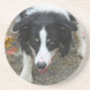 Suche nach die herde untersetzer Hund