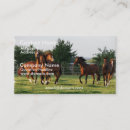 Suche nach wilde pferde visitenkarten Reiter