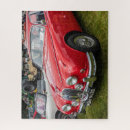 Suche nach jaguar puzzle Klassisch