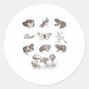 Suche nach akademie aufkleber Cottagecore