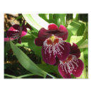 Suche nach rote orchidee poster Jede person
