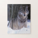 Suche nach grauer wolf puzzle Natur