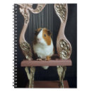 Suche nach meerschweinchen kleine notizbücher Für alle