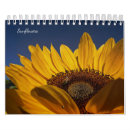 Suche nach sonnenblumen kalender Gelb