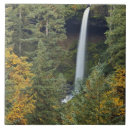 Suche nach der fall fliesen Fallen