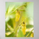 Suche nach selektiv poster Vertikal