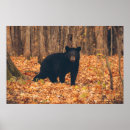 Suche nach tierphotographie poster Jede person