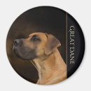 Suche nach dänen magnete Hund