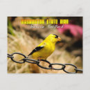 Suche nach goldfinch postkarten Amerikanisch