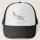 Suche nach narwhal kappen Einhorn
