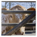 Suche nach schwedisch fliesen Schweden