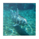 Suche nach säugetiere fliesen Meerestiere