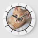 Suche nach lustige katzen wanduhren Für alle