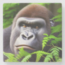 Suche nach gorilla untersetzer Tierwelt