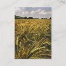 Suche nach körner visitenkarten Weizen