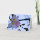 Suche nach grüne erde karten Natur