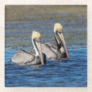 Suche nach florida strand untersetzer Natur