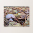 Suche nach mushroom puzzle Blume