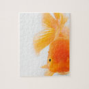 Suche nach goldfische puzzle Schwimmen