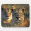 Suche nach sonnenaufgang mousepads Wildtiere