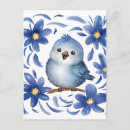 Suche nach blaue vögel postkarten Natur