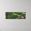Suche nach promenade leinwandbilder Wald