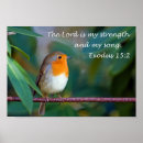 Suche nach rotkehlchen poster Natur