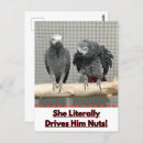 Suche nach lustige postkarten Jede person