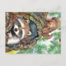 Suche nach racoon postkarten Kokon