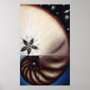 Suche nach fibonacci poster Übelkeit