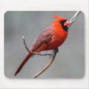 Suche nach kardinal vogel mousepads Büro