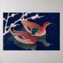 Suche nach stockenten poster Mallard