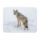 Suche nach kein schnee magnete Nationalpark