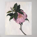 Suche nach kamelien poster Blätter