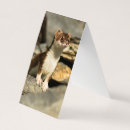 Suche nach weasels karten Wiesel