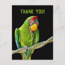 Suche nach ara postkarten Vogel