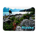 Suche nach adler magnete Tierwelt