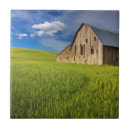 Suche nach stall fliesen Landwirtschaft