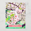 Suche nach rosa kirschblüte postkarten Japan