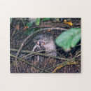 Suche nach otter puzzle Tier
