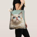Suche nach ragdolls taschen Blaue augen