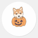 Suche nach shiba inu hund aufkleber Hundefreund