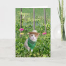 Suche nach holiday humor postkarten Für sie