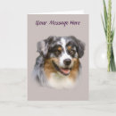 Suche nach herdenhund karten Hunde