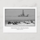 Suche nach kolonien postkarten Pelikan