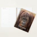 Suche nach gorilla büro zubehör Schimpanse