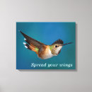 Suche nach kolibri leinwandbilder Ornithologie