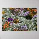 Suche nach alle ohren poster Blumen