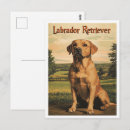 Suche nach labrador postkarten Hund